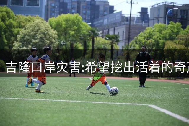 吉隆口岸灾害:希望挖出活着的奇迹，若无奇迹愿不要挖出一具遗体
